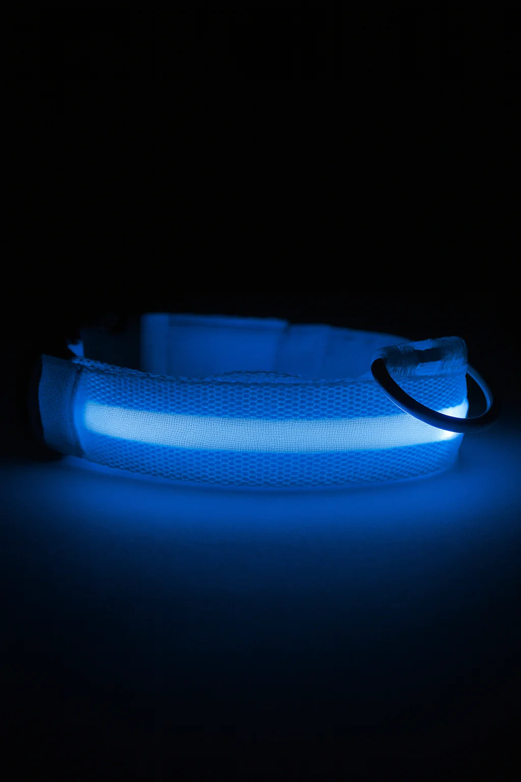 Nuvira™ GlowPaw | LED Collar