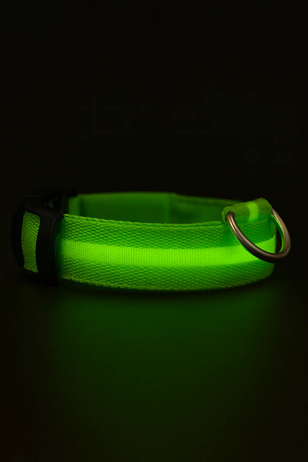 Nuvira™ GlowPaw | LED Collar