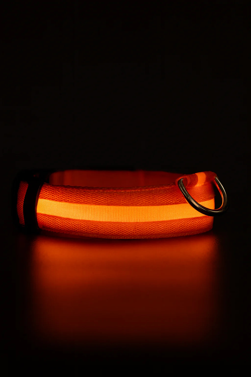 Nuvira™ GlowPaw | LED Collar