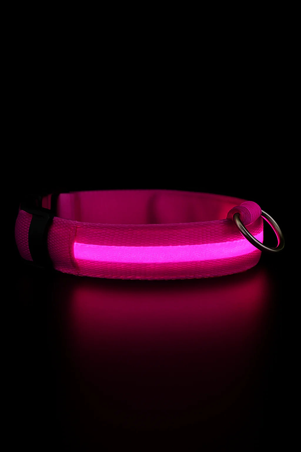 Nuvira™ GlowPaw | LED Collar