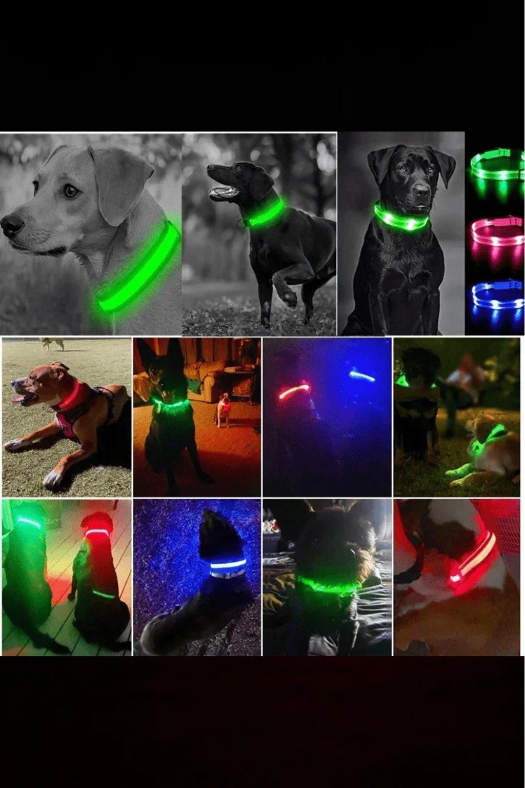 Nuvira™ GlowPaw | LED Collar