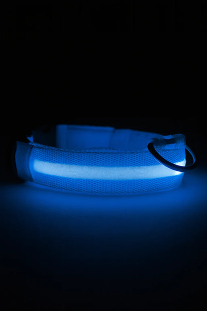 Nuvira™ GlowPaw | LED Collar
