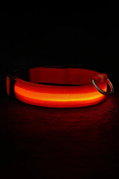 Nuvira™ GlowPaw | LED Collar
